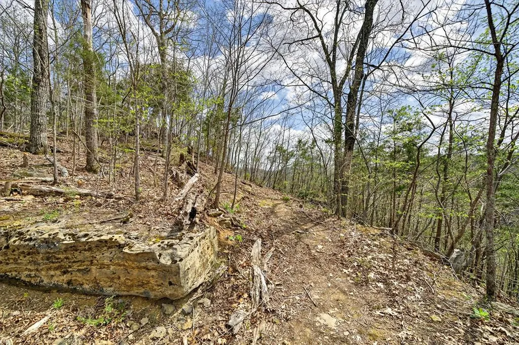 1089 Cornerstone Parkway Allons TN 38541