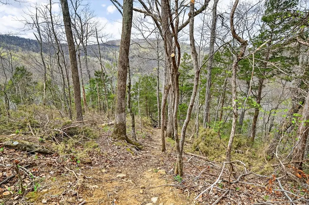 1089 Cornerstone Parkway Allons TN 38541