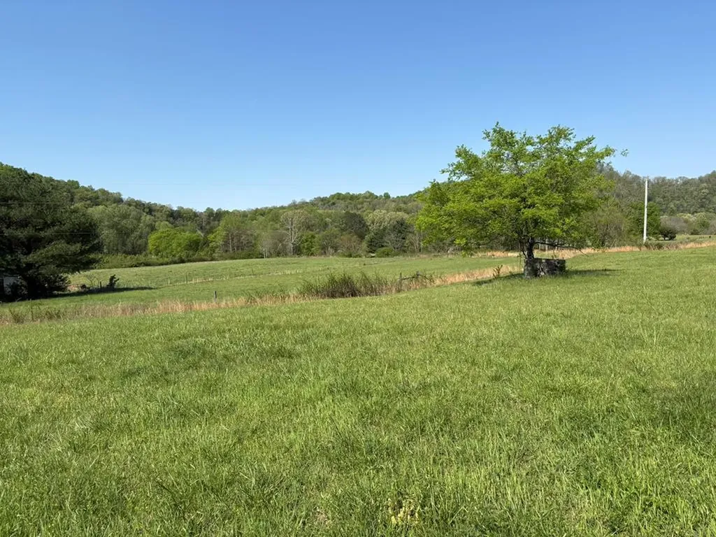 2334 Whites Bend Lane Gainesboro TN 38562
