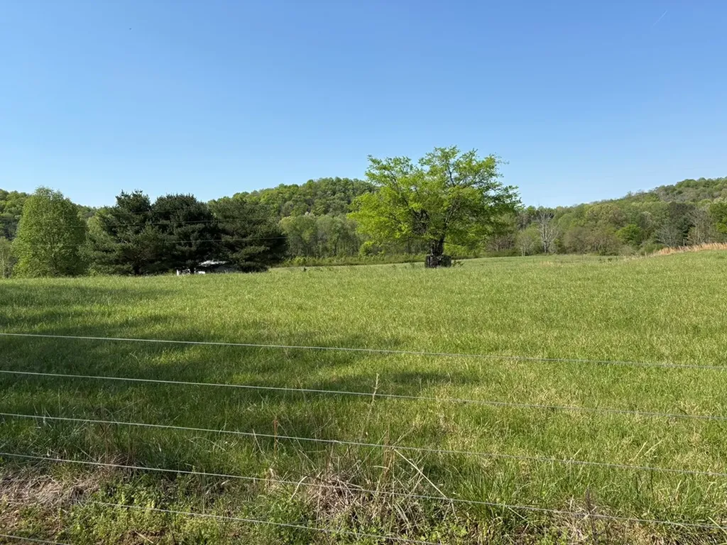 2334 Whites Bend Lane Gainesboro TN 38562