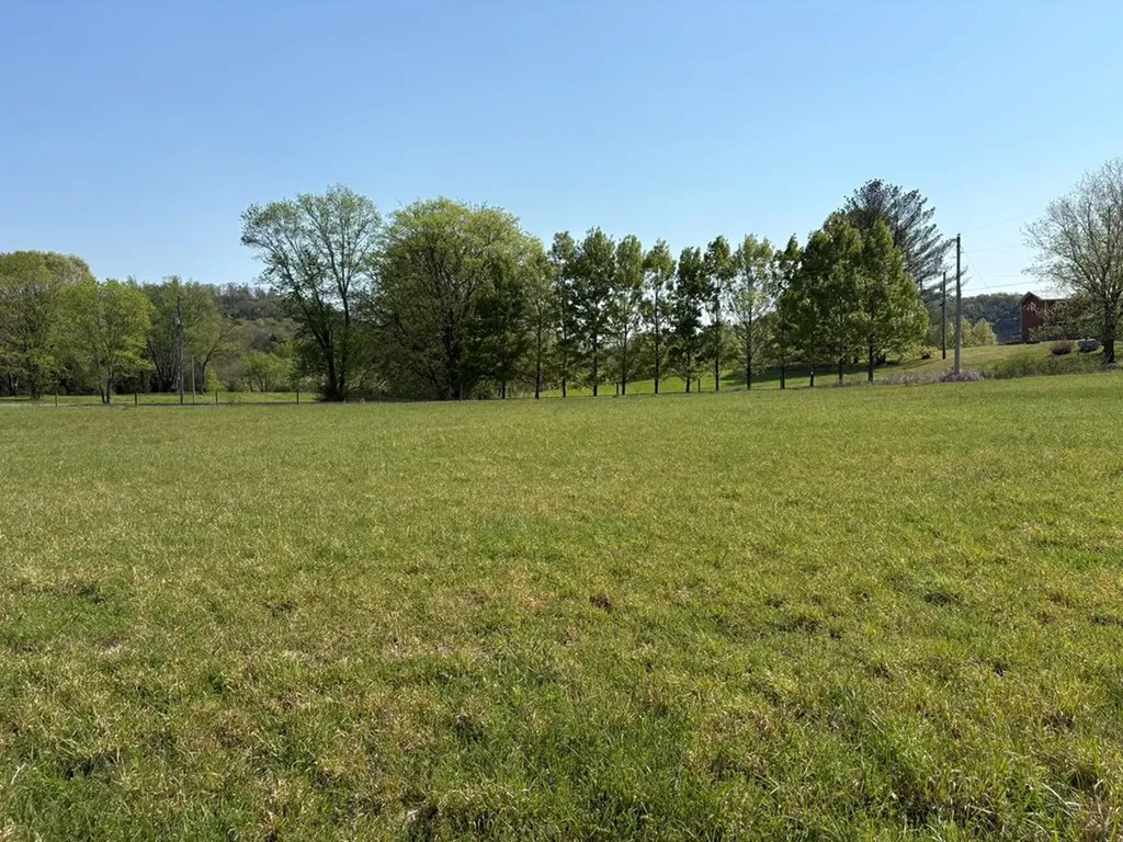 2334 Whites Bend Lane Gainesboro TN 38562