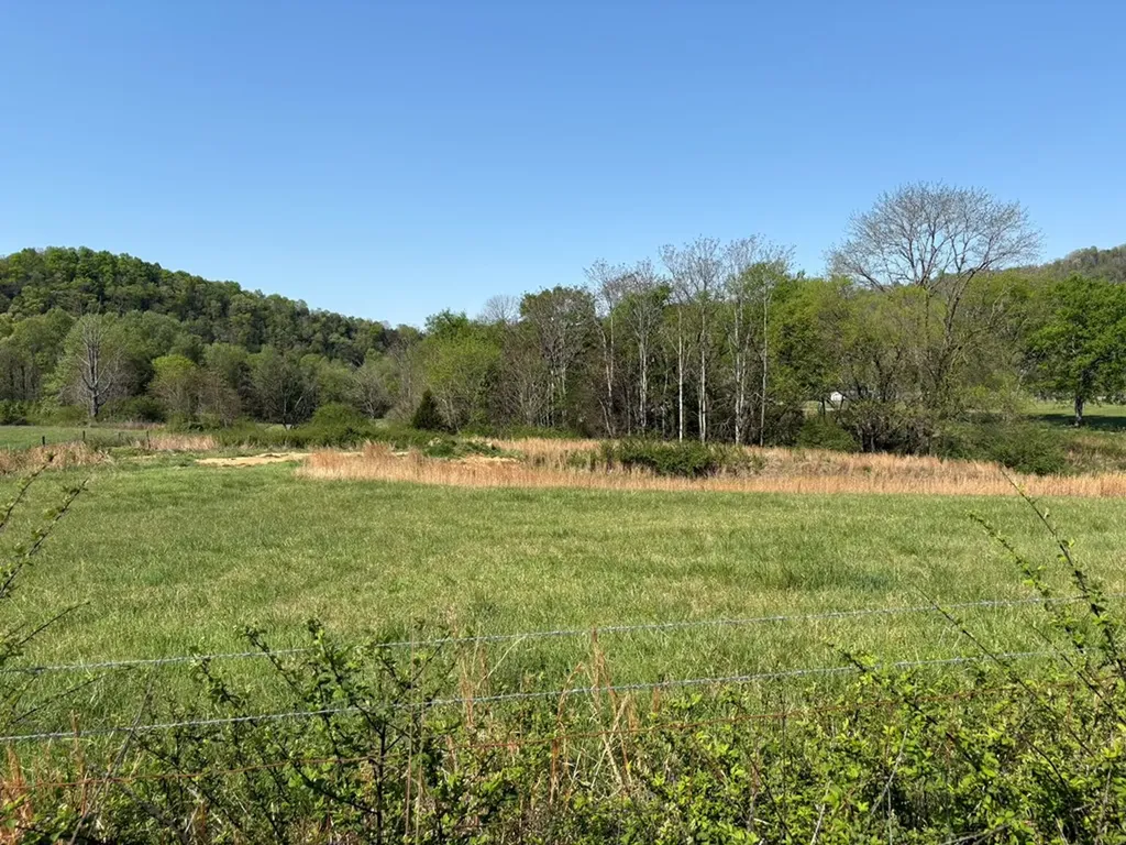 2334 Whites Bend Lane Gainesboro TN 38562