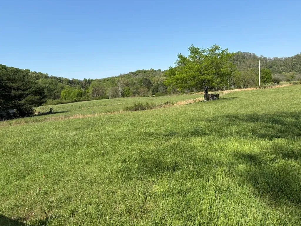2334 Whites Bend Lane Gainesboro TN 38562