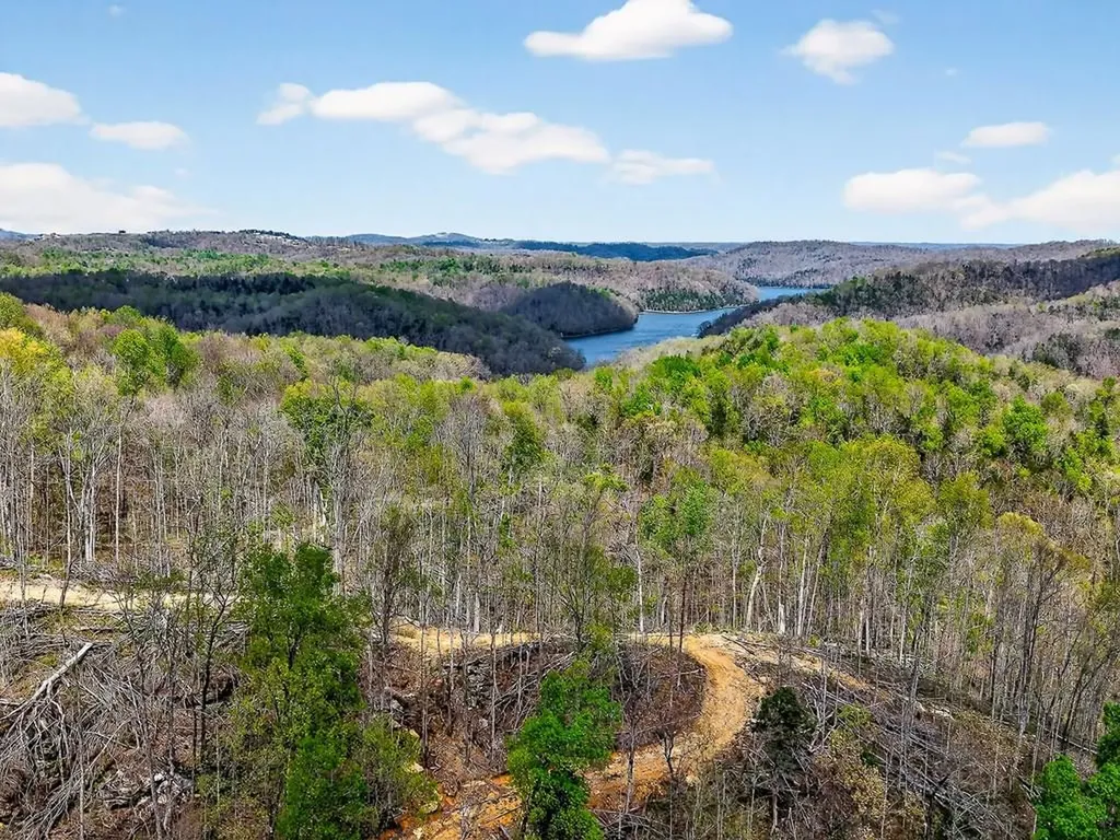 61 Ac Hidden Cove Lane Allons TN 38541