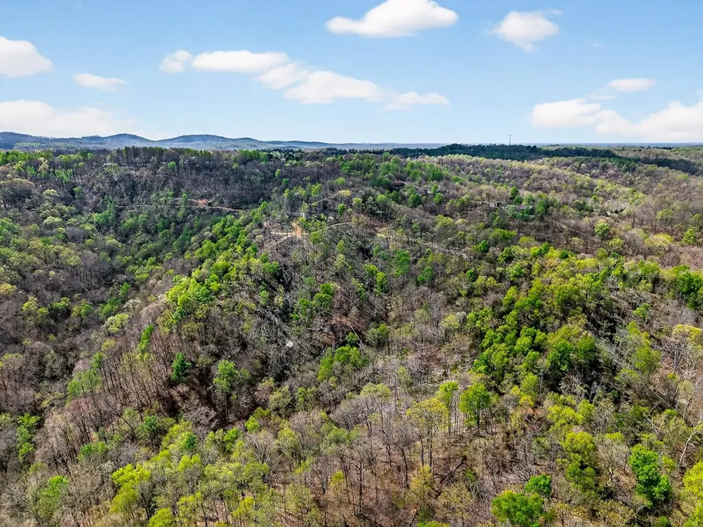 61 Ac Hidden Cove Lane Allons TN 38541