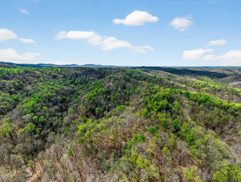 61 Ac Hidden Cove Lane Allons TN 38541