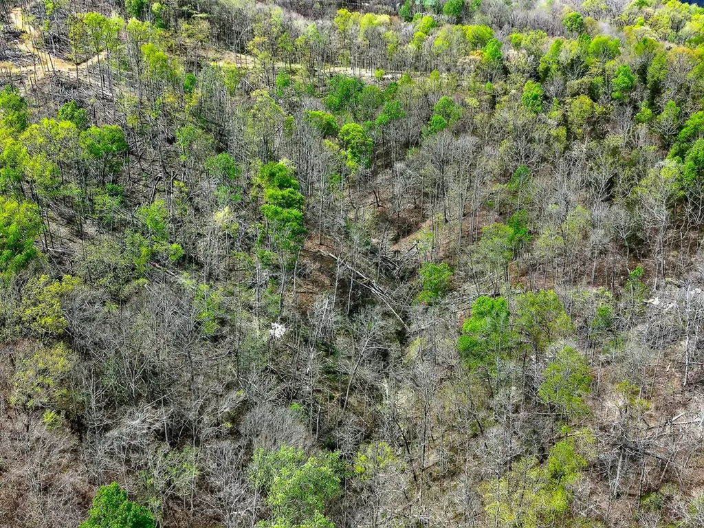 61 Ac Hidden Cove Lane Allons TN 38541