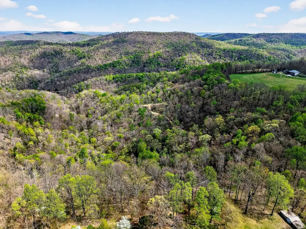 61 Ac Hidden Cove Lane Allons TN 38541