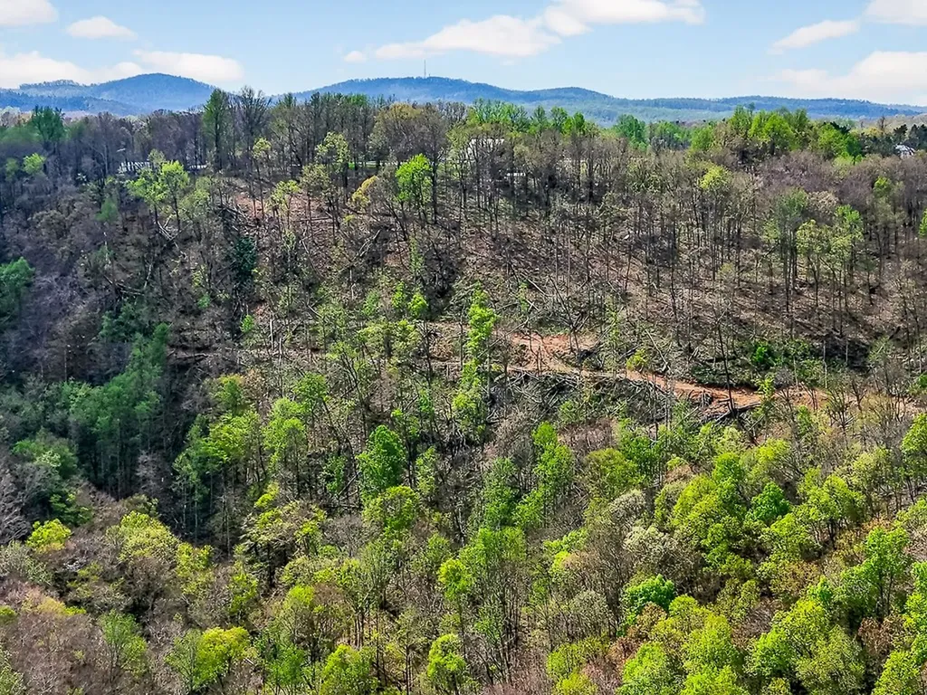 61 Ac Hidden Cove Lane Allons TN 38541
