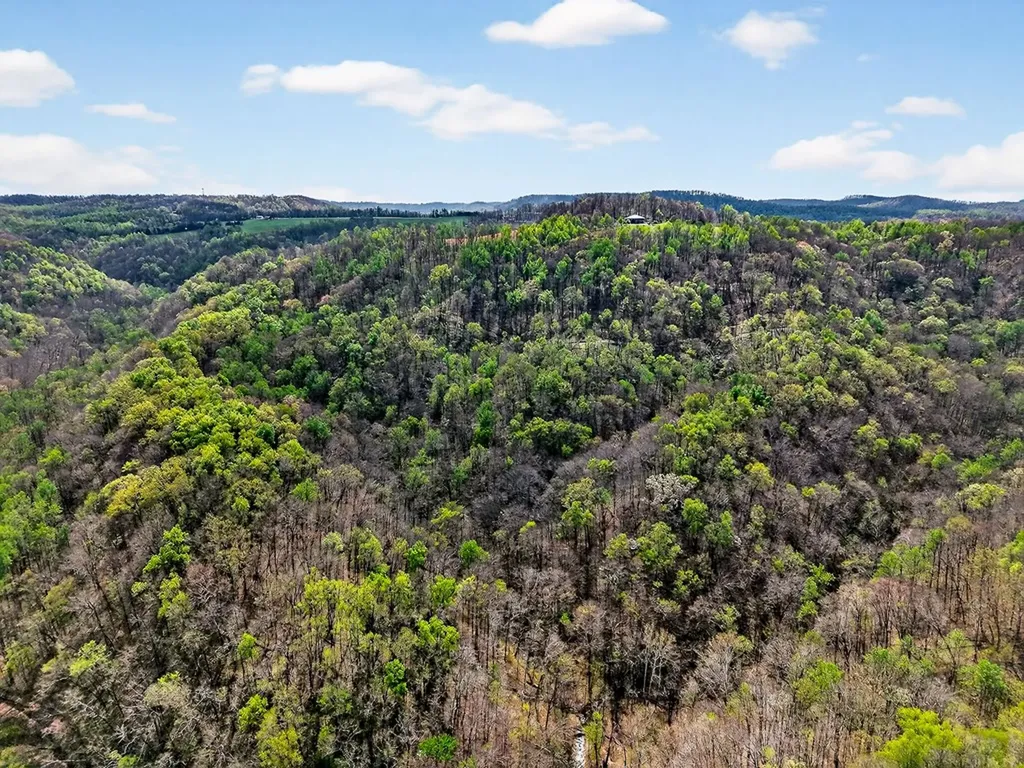 61 Ac Hidden Cove Lane Allons TN 38541