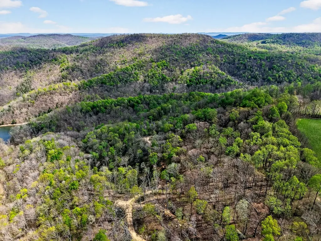61 Ac Hidden Cove Lane Allons TN 38541