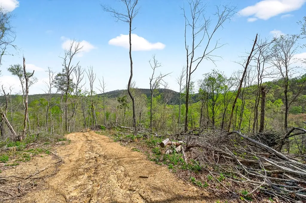 61 Ac Hidden Cove Lane Allons TN 38541