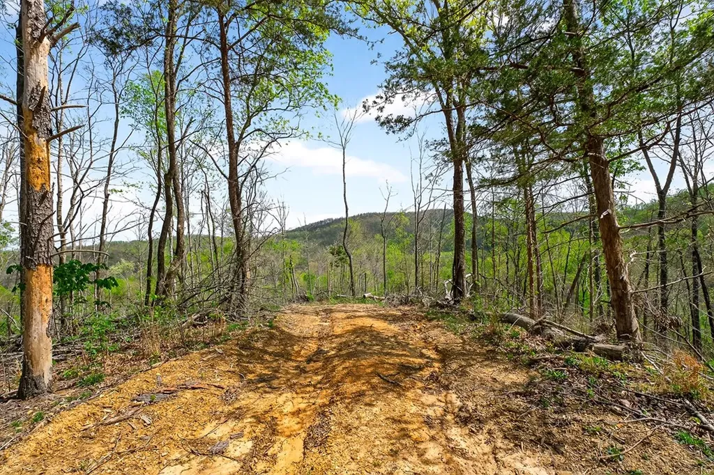61 Ac Hidden Cove Lane Allons TN 38541