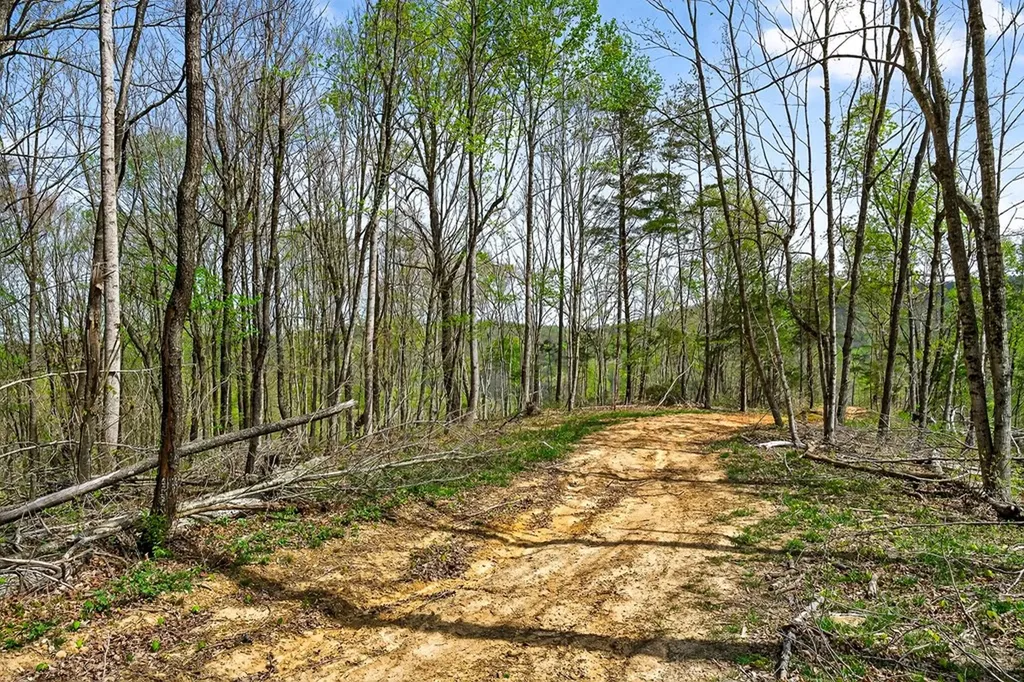 61 Ac Hidden Cove Lane Allons TN 38541