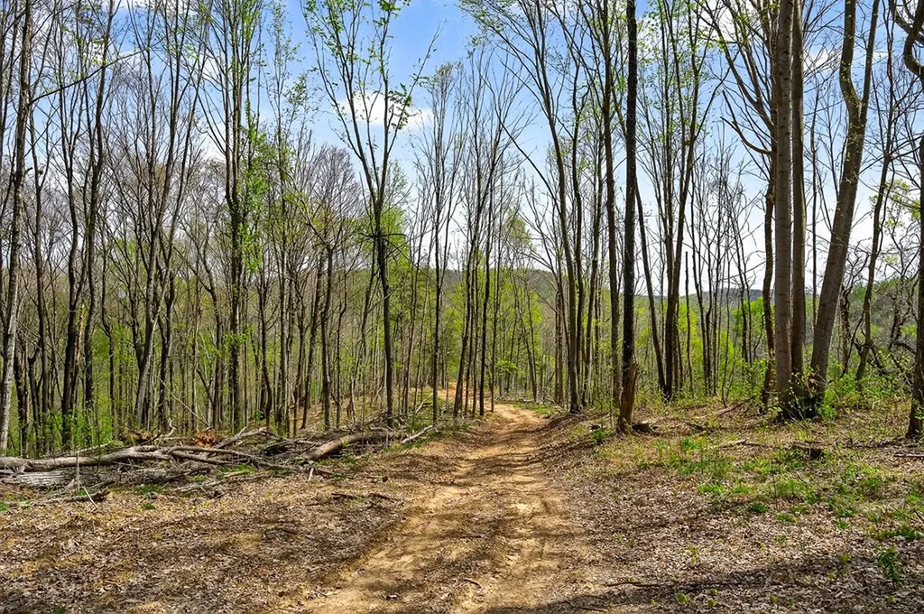 61 Ac Hidden Cove Lane Allons TN 38541