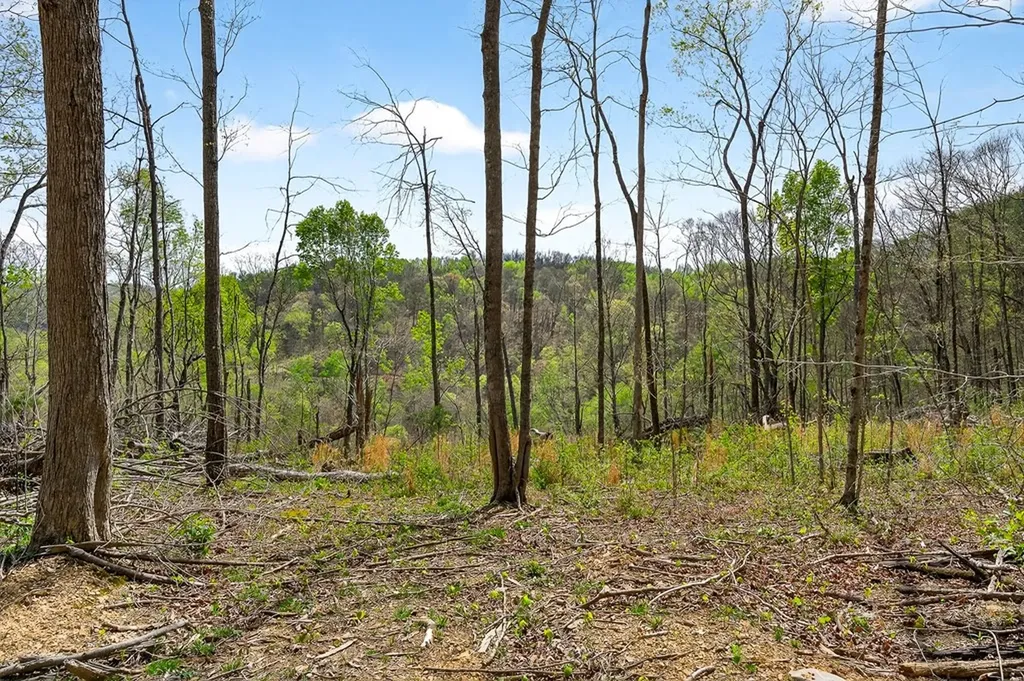 61 Ac Hidden Cove Lane Allons TN 38541