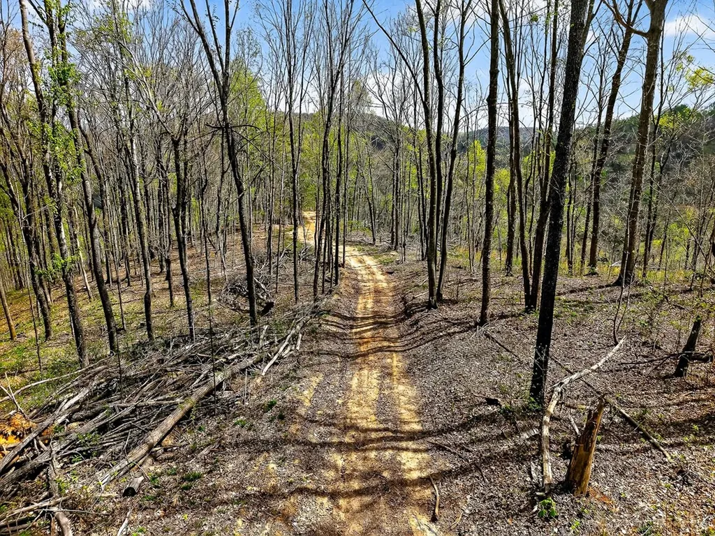 61 Ac Hidden Cove Lane Allons TN 38541