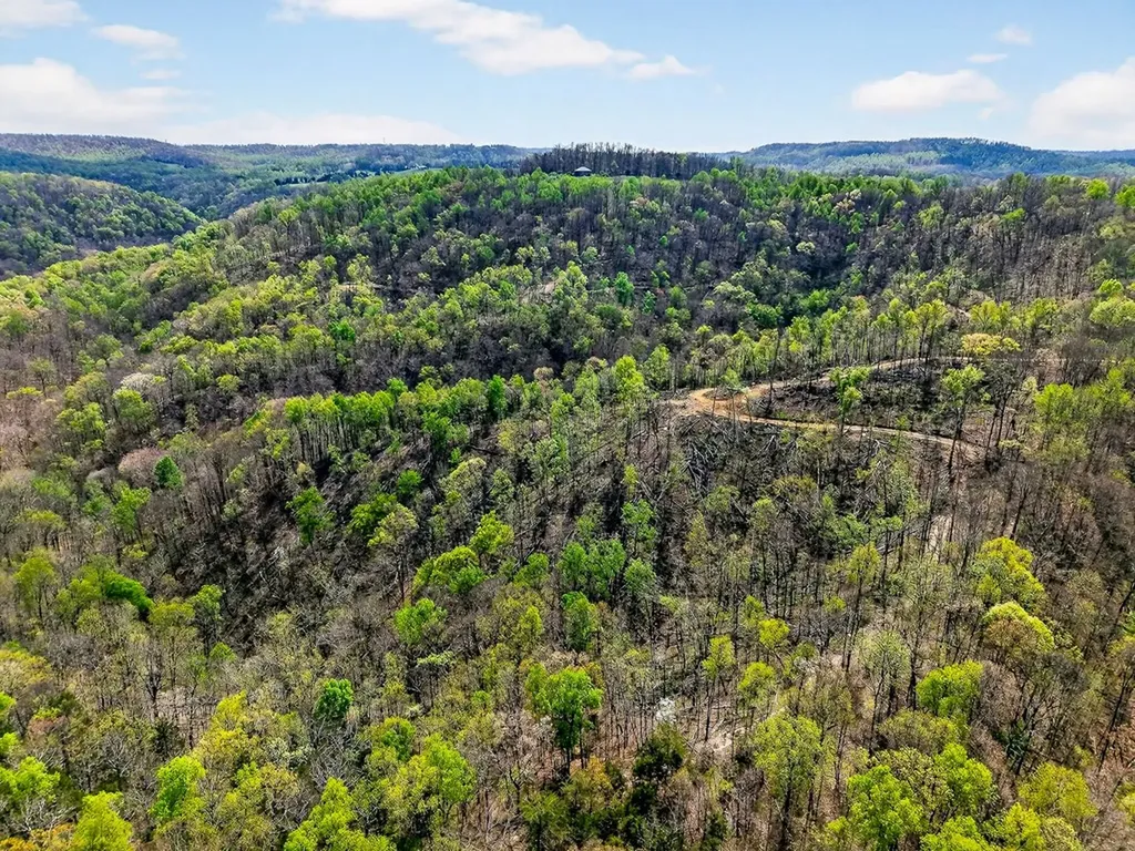 61 Ac Hidden Cove Lane Allons TN 38541