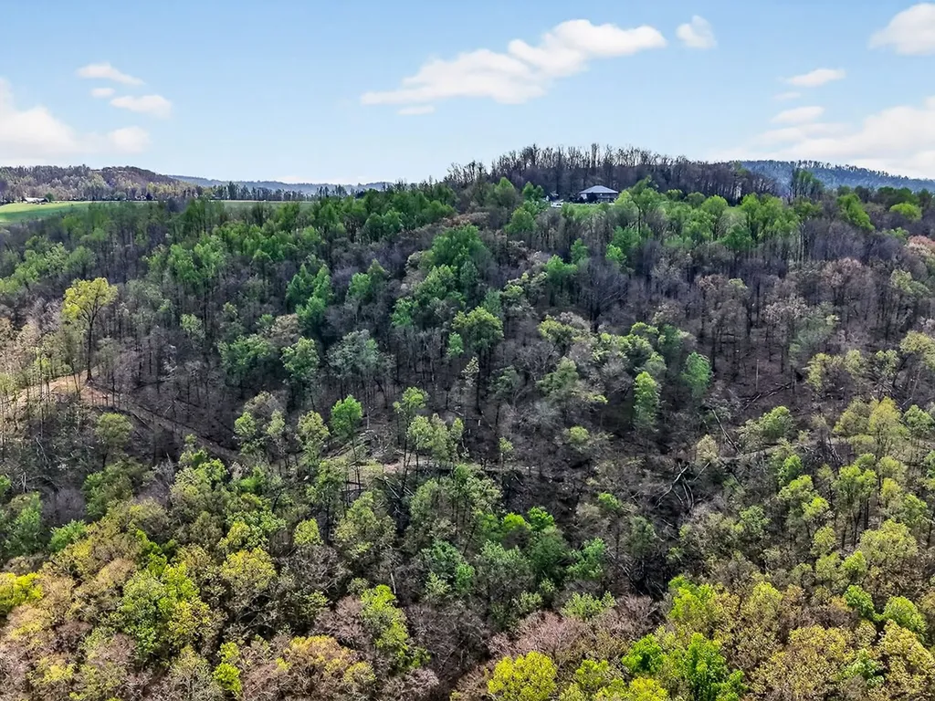 61 Ac Hidden Cove Lane Allons TN 38541