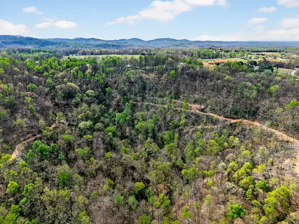 61 Ac Hidden Cove Lane Allons TN 38541