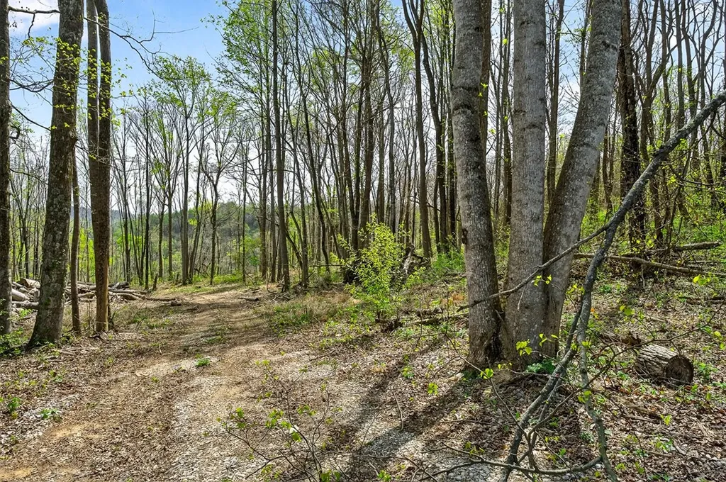 61 Ac Hidden Cove Lane Allons TN 38541