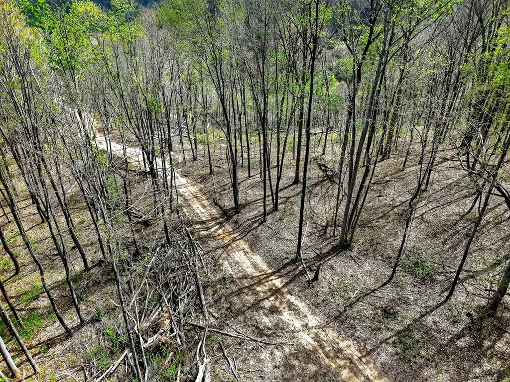 61 Ac Hidden Cove Lane Allons TN 38541
