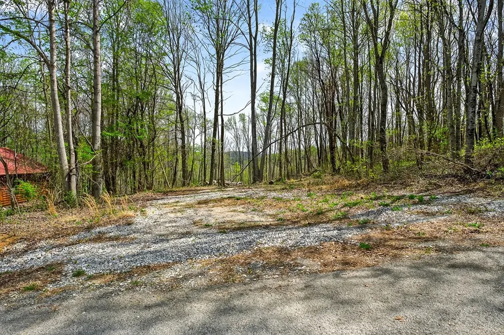 61 Ac Hidden Cove Lane Allons TN 38541