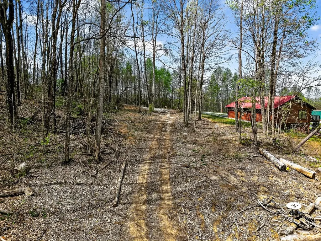 61 Ac Hidden Cove Lane Allons TN 38541