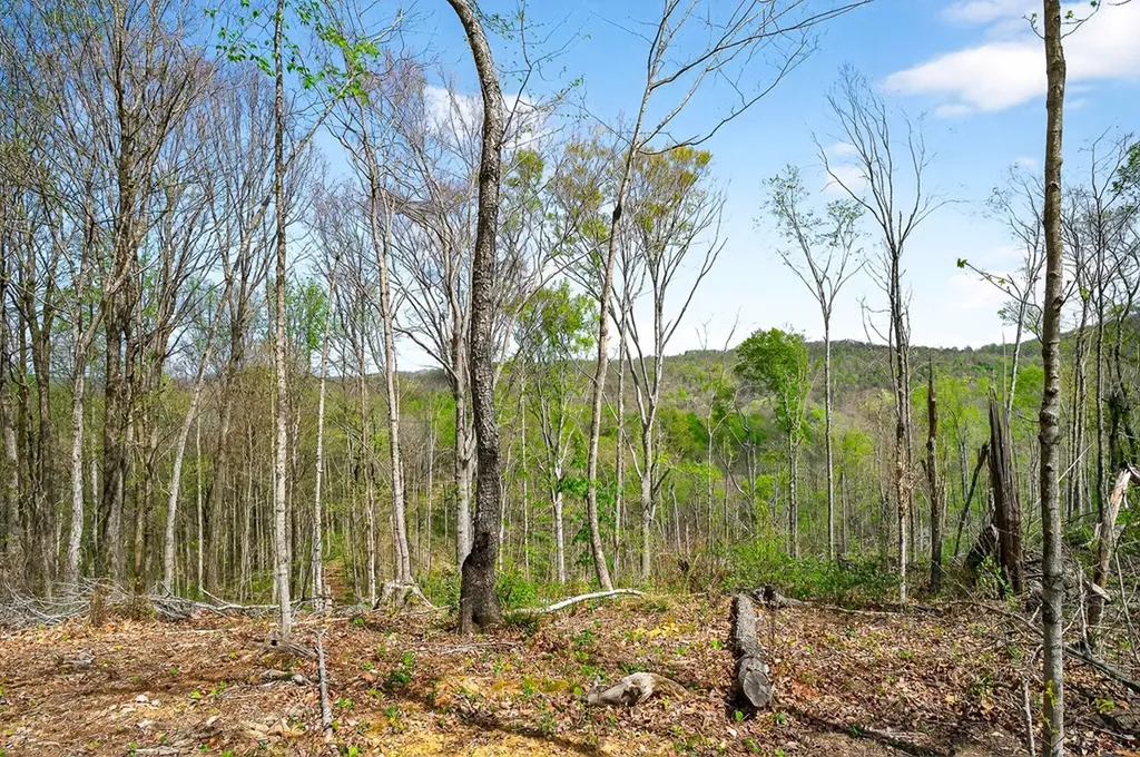 61 Ac Hidden Cove Lane Allons TN 38541