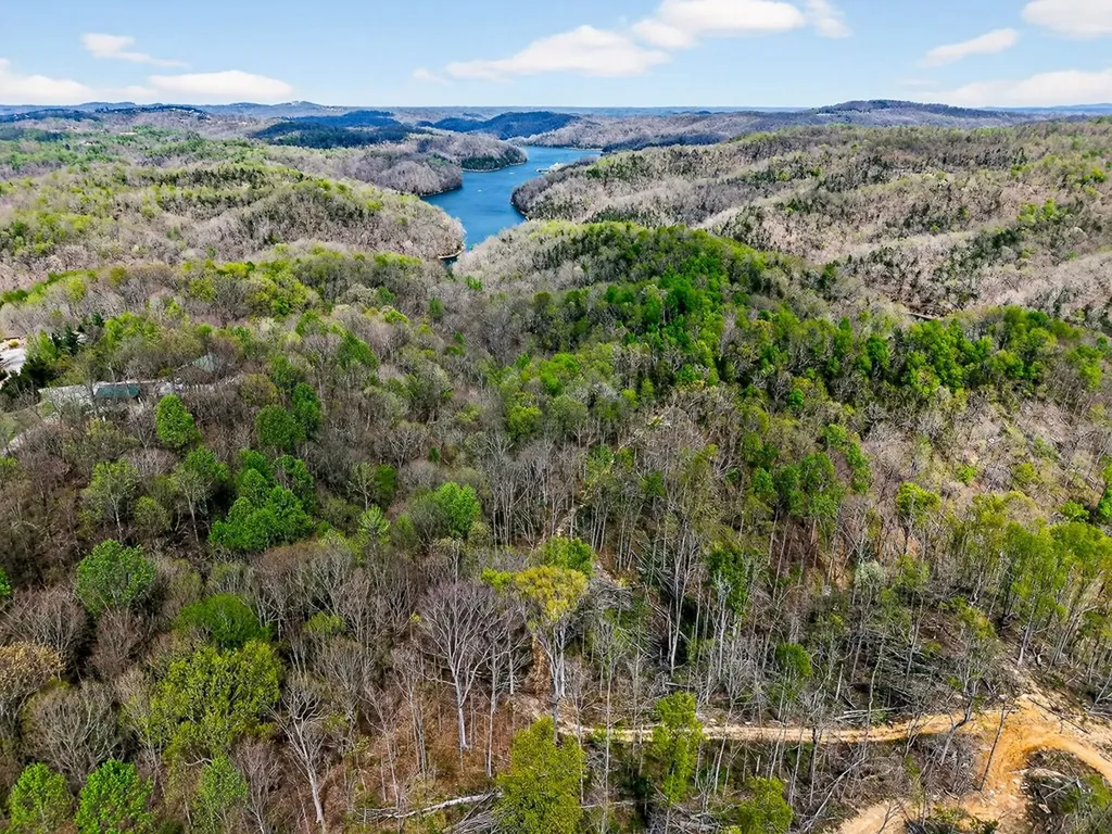61 Ac Hidden Cove Lane Allons TN 38541