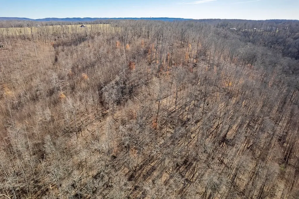 60.92 Ac Plantation South Drive Cookeville TN 38506