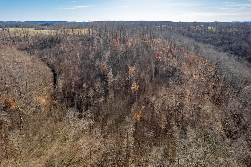60.92 Ac Plantation South Drive Cookeville TN 38506