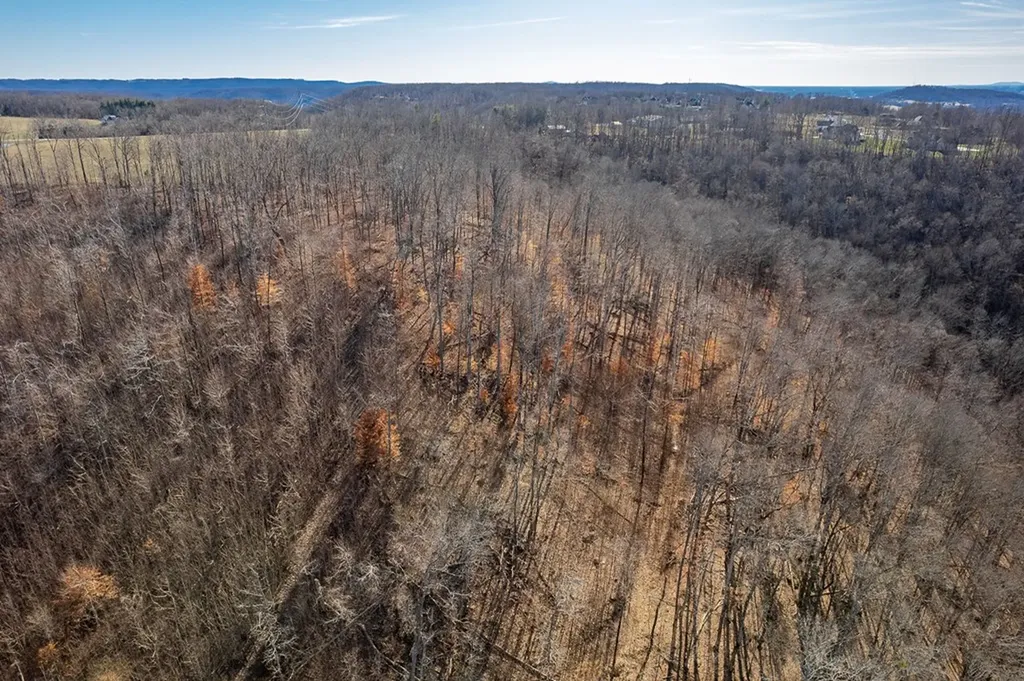60.92 Ac Plantation South Drive Cookeville TN 38506