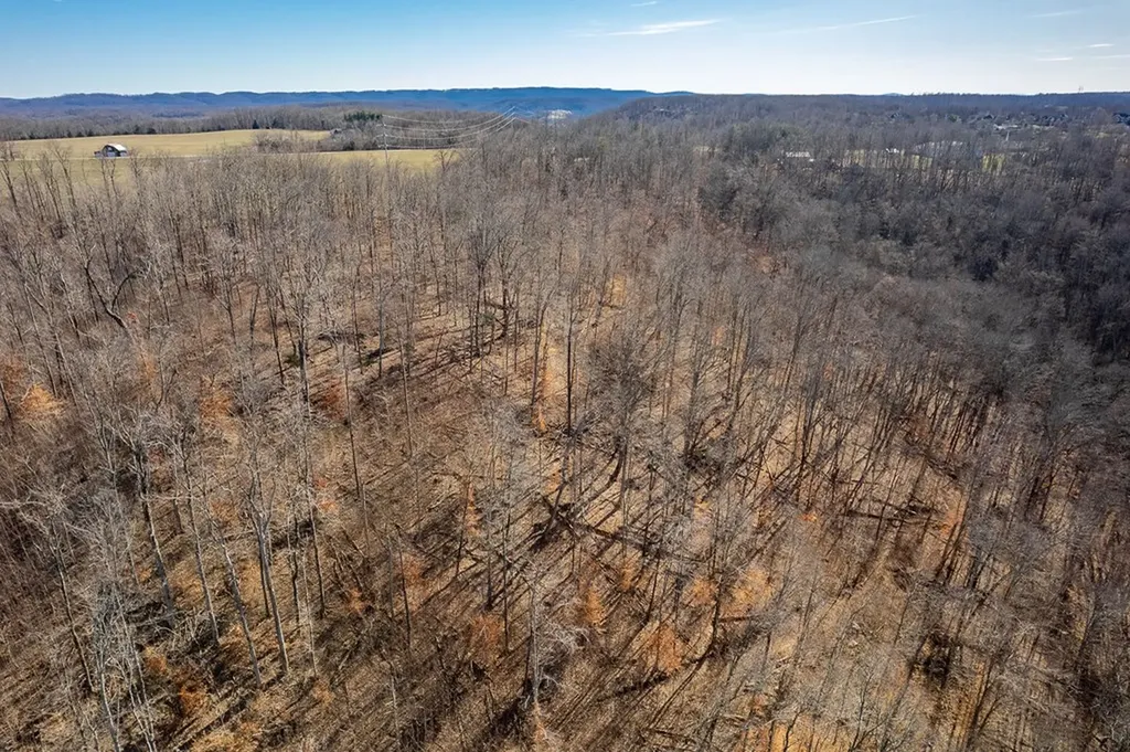 60.92 Ac Plantation South Drive Cookeville TN 38506