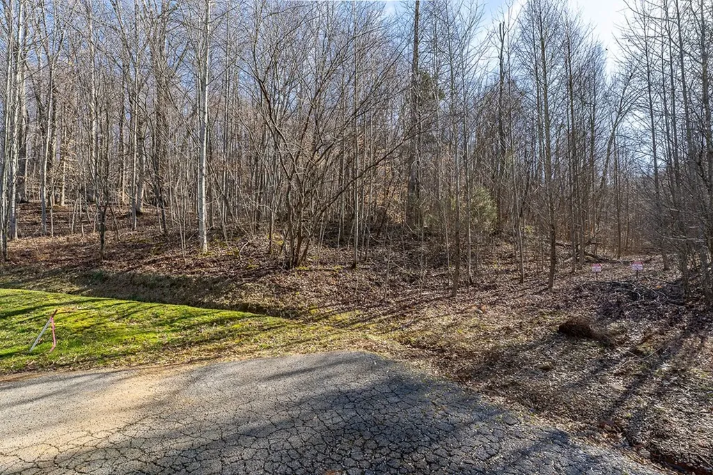 60.92 Ac Plantation South Drive Cookeville TN 38506