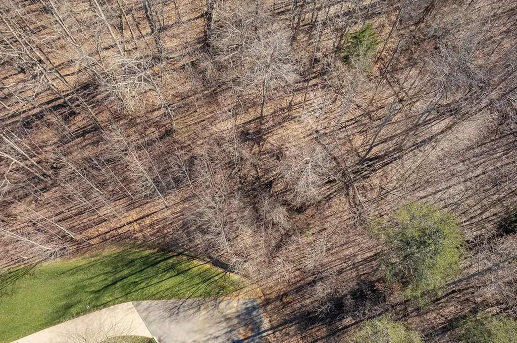 60.92 Ac Plantation South Drive Cookeville TN 38506