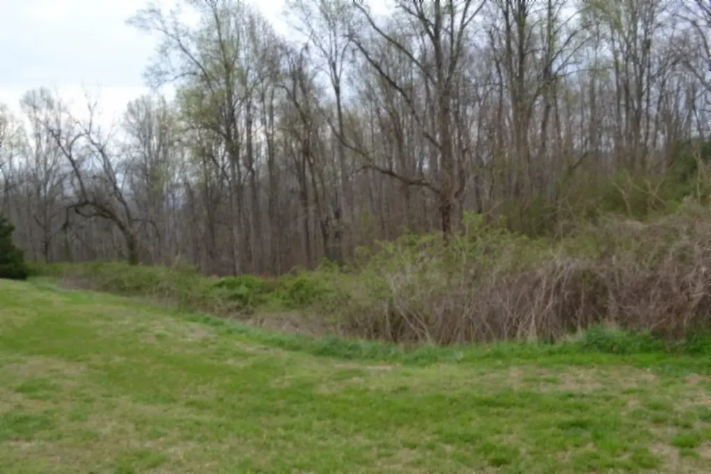 214 Don't Care Lane Celina TN 38551