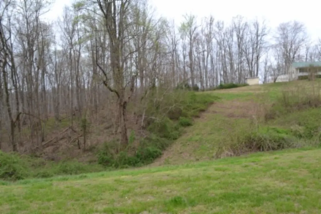 214 Don't Care Lane Celina TN 38551