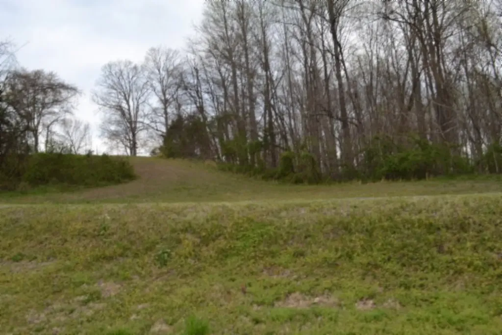 214 Don't Care Lane Celina TN 38551