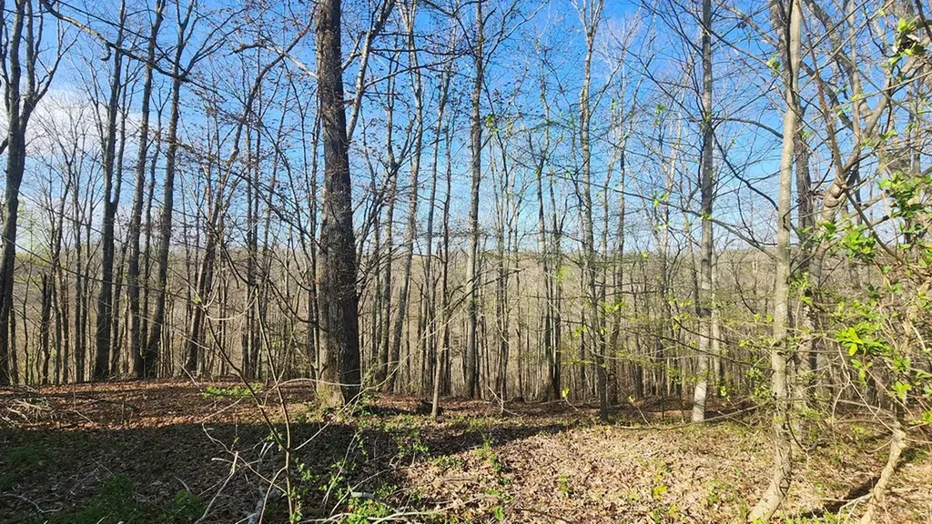 214 Don't Care Lane Celina TN 38551