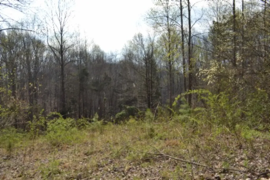 214 Don't Care Lane Celina TN 38551