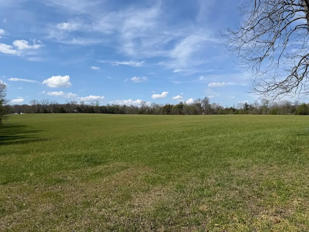 1342 Walt Reed Road Grandview TN 37337