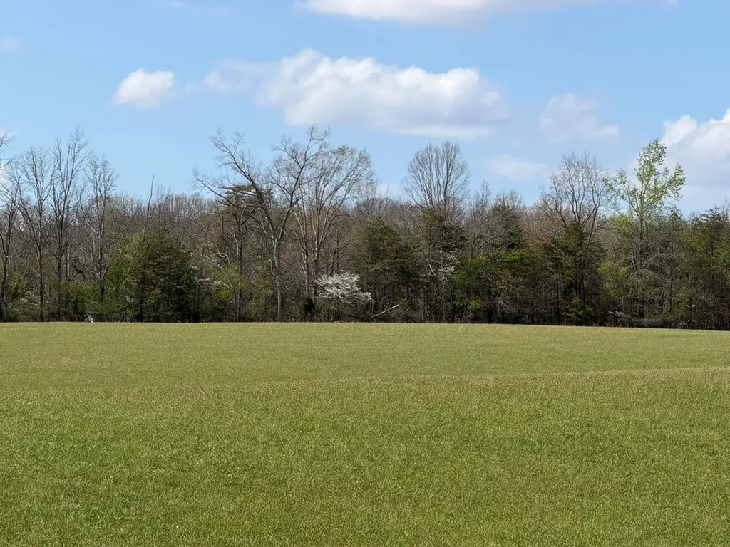 1342 Walt Reed Road Grandview TN 37337