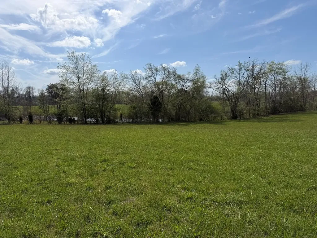 1342 Walt Reed Road Grandview TN 37337
