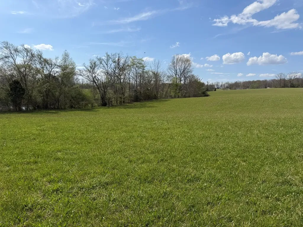 1342 Walt Reed Road Grandview TN 37337