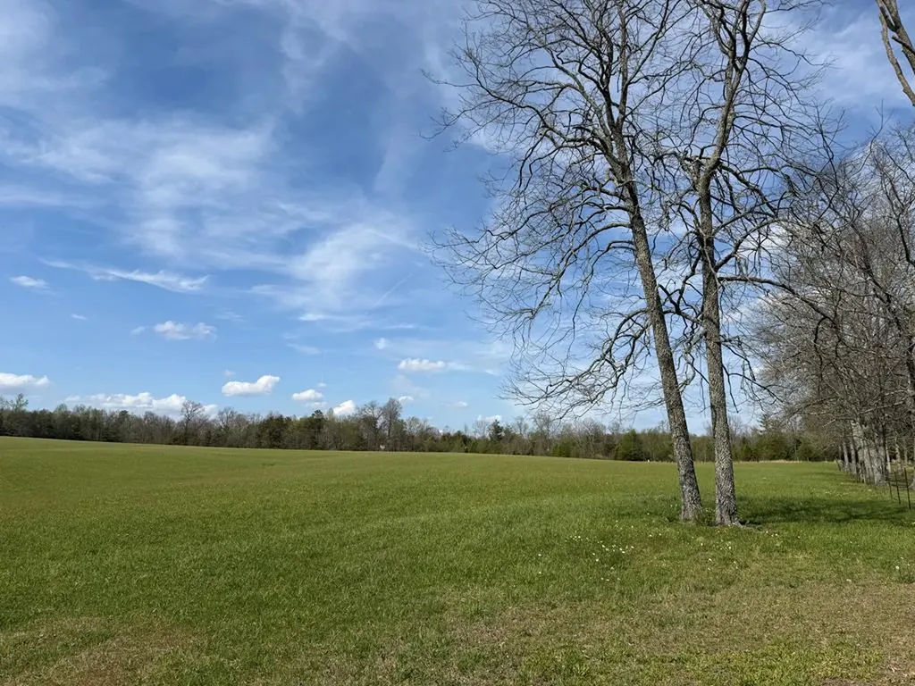 1342 Walt Reed Road Grandview TN 37337