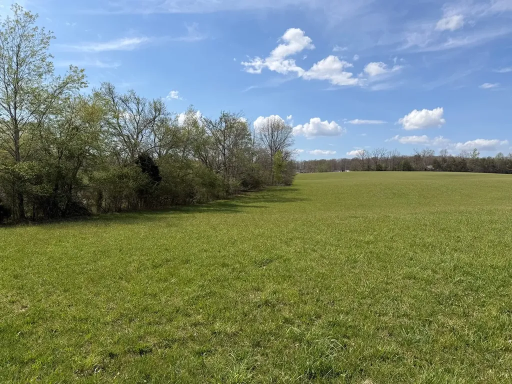 1342 Walt Reed Road Grandview TN 37337