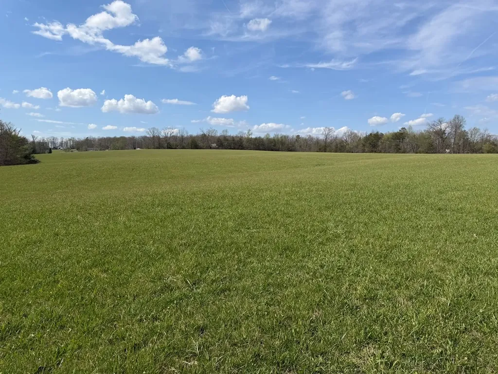 1342 Walt Reed Road Grandview TN 37337