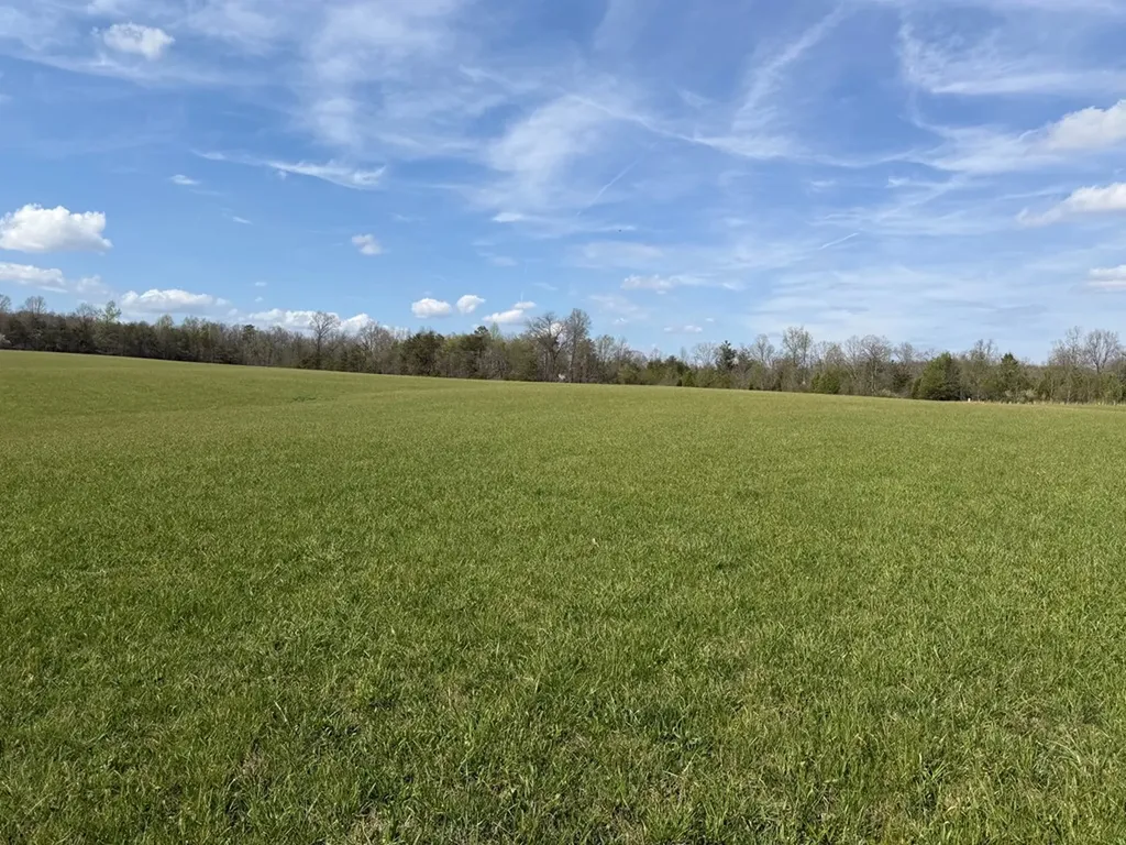 1342 Walt Reed Road Grandview TN 37337