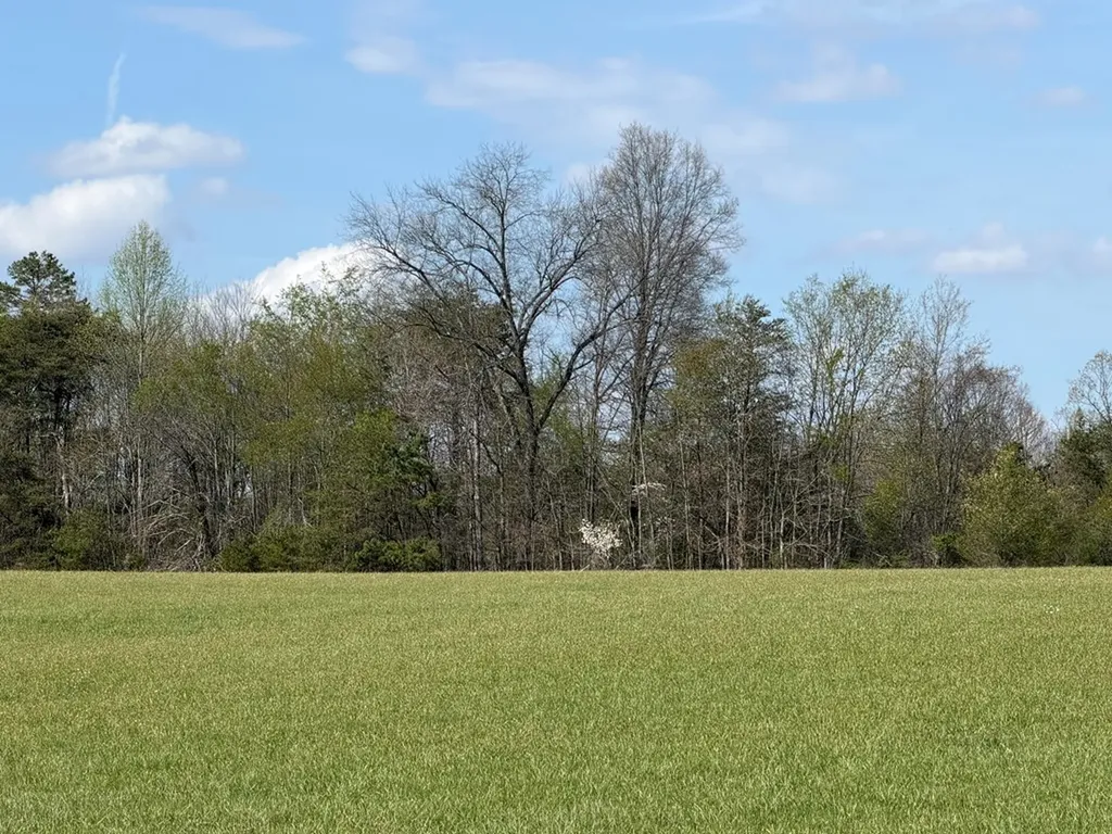 1342 Walt Reed Road Grandview TN 37337